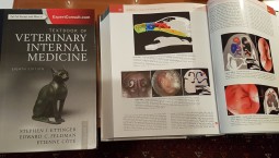 Neues Lehrbuch für Innere Medizin erschienen